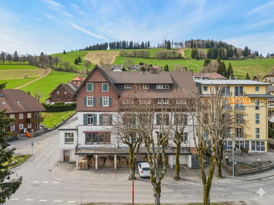 IMMORath.de - Blick auf die Schweizer Alpen mit Gastronomie & Hotelzimmern